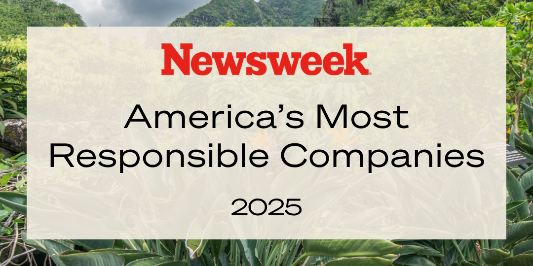 Plant, Vegetation, Jungle, Nature, Outdoors, Rainforest, Tree, Text, Blackboard, Advertisement