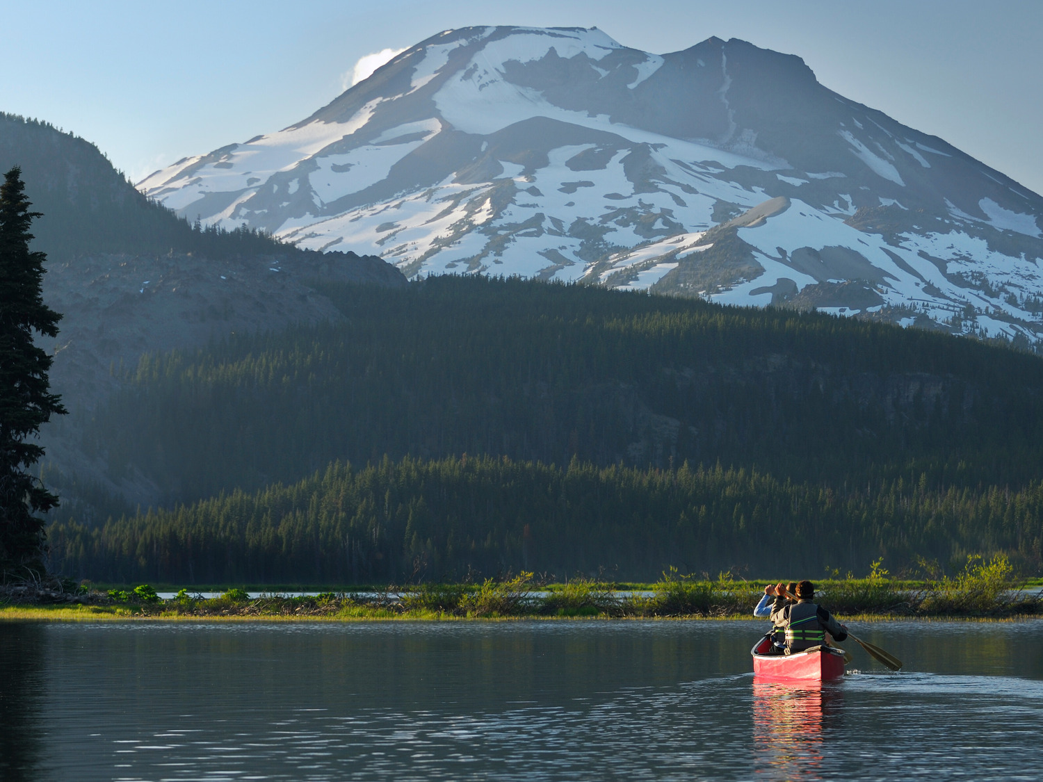 Boat, Canoe, Canoeing, Person, Rowboat, Vehicle, Water, Water Sports, Fir, Tree