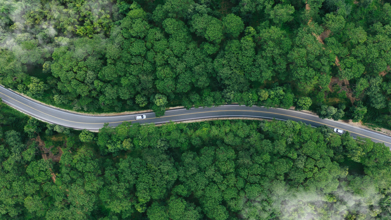 Land, Nature, Outdoors, Plant, Tree, Vegetation, Woodland, Aerial View, Road