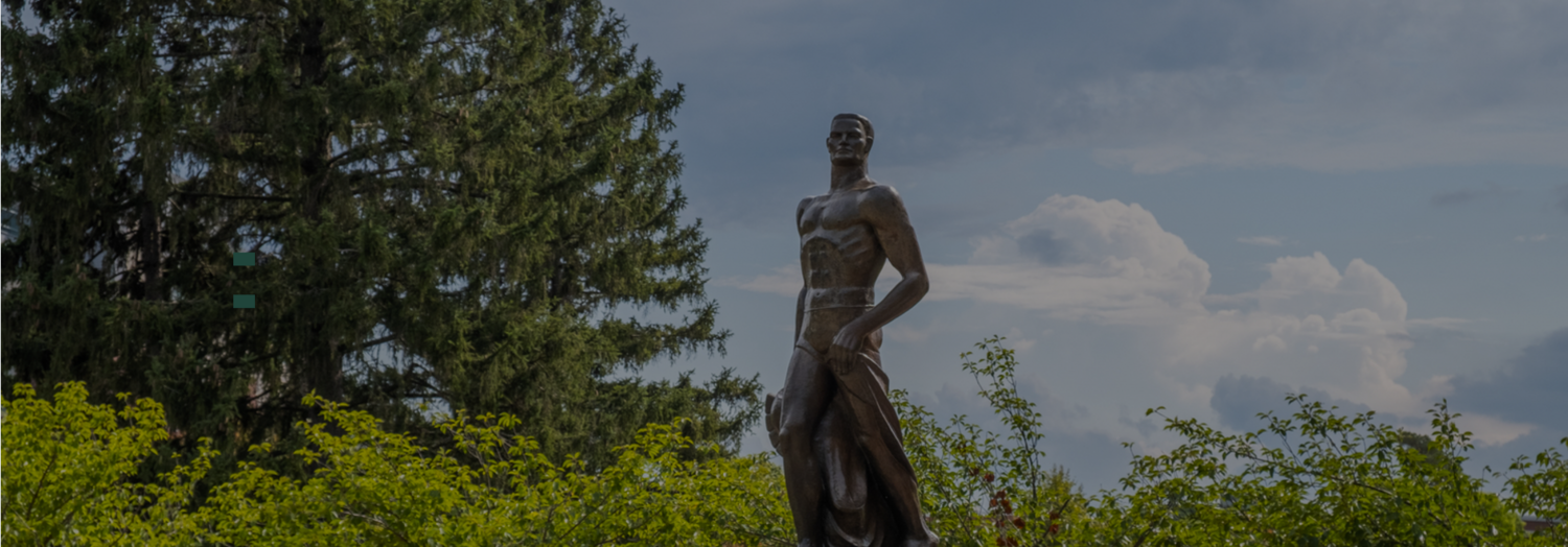 Adult, Male, Man, Person, Art, Fir, Tree, Monument, Head, Figurine