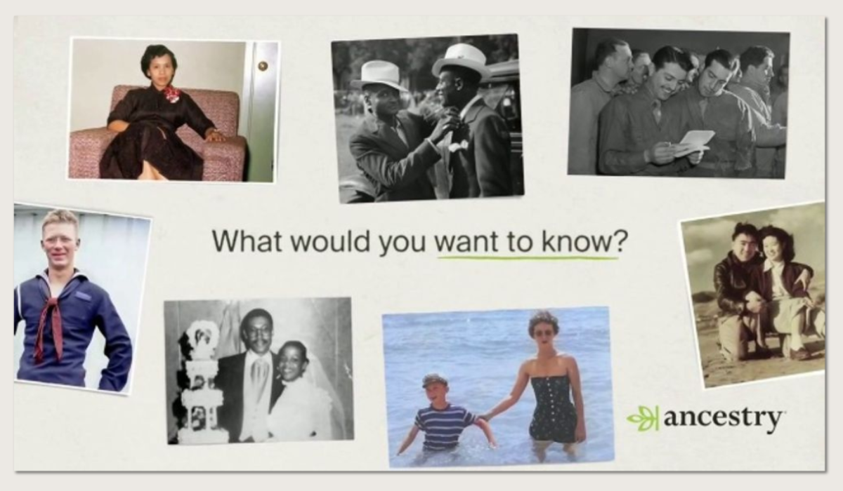 Collage, Adult, Female, Person, Woman, Portrait, Boy, Child, Male, Man