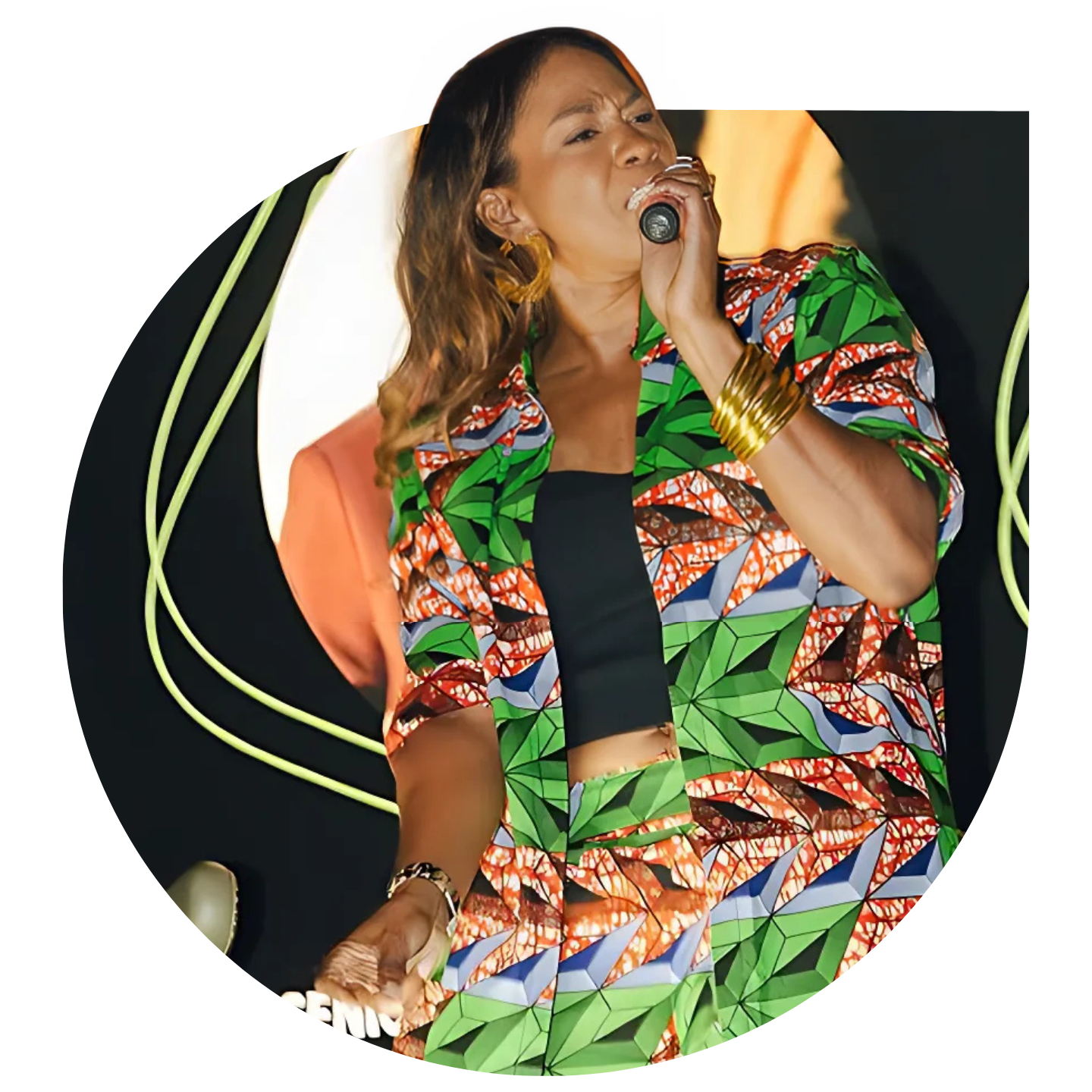 Performer, Person, Solo Performance, Adult, Female, Woman, Head, Face, Musical Instrument, Musician