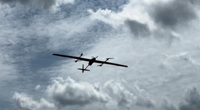 Animal, Bird, Flying, Aircraft, Airplane, Transportation, Vehicle, Flight, Outdoors, Sky
