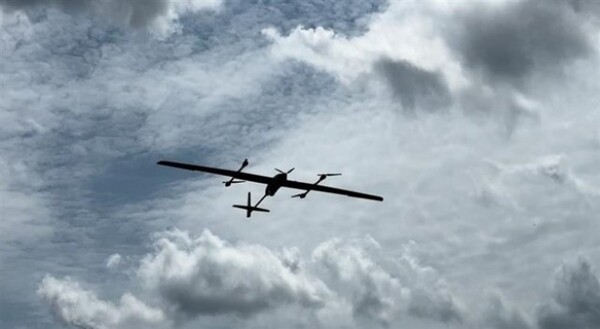 Animal, Bird, Flying, Aircraft, Airplane, Transportation, Vehicle, Flight, Outdoors, Sky