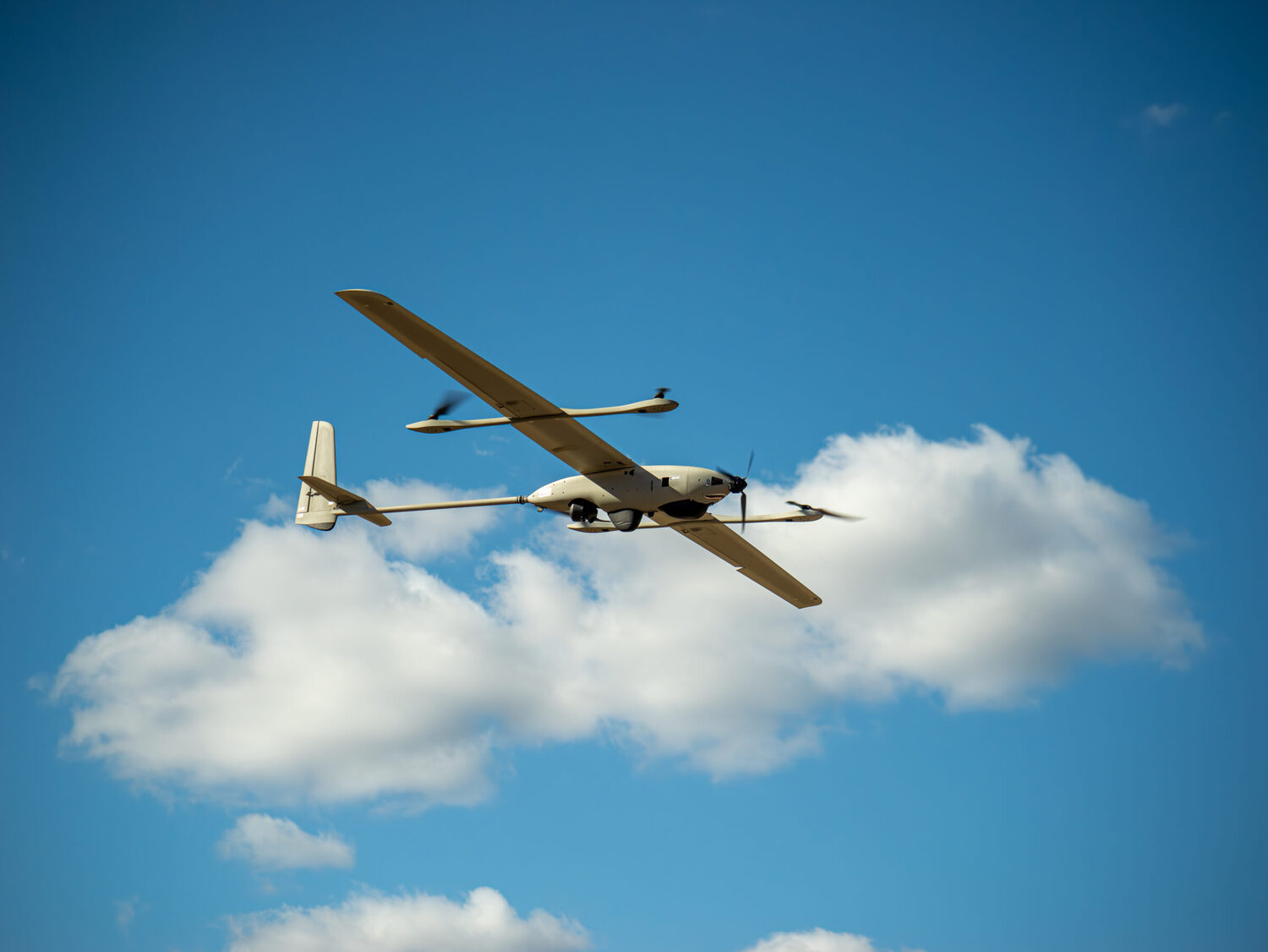 Aircraft, Airplane, Vehicle, Bird, Flying, Adventure, Glider, Gliding, Leisure Activities, Flight