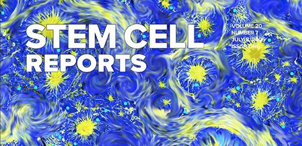 Pattern, Accessories, Person, Outdoors, Art, Modern Art, Nature, Purple, Fractal, Ornament