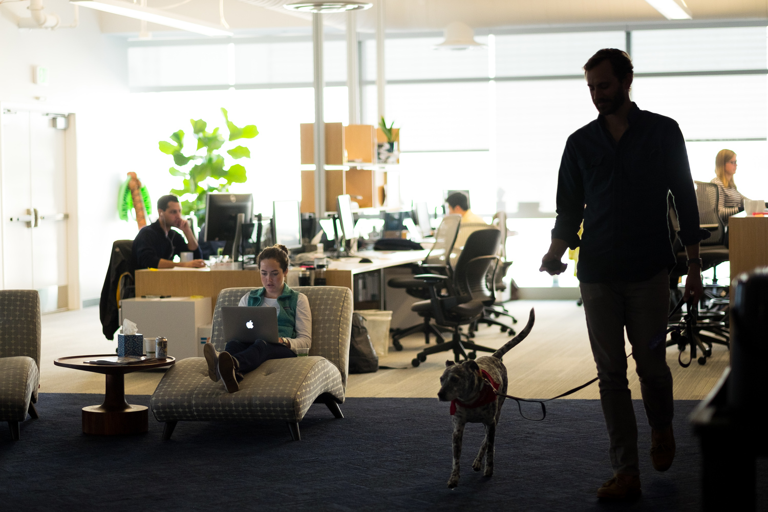 People, Person, Couch, Furniture, Chair, Classroom, Speech, Dining Room, Indoors, Dog, Table, Shoe, Sitting, Living Room, Desk