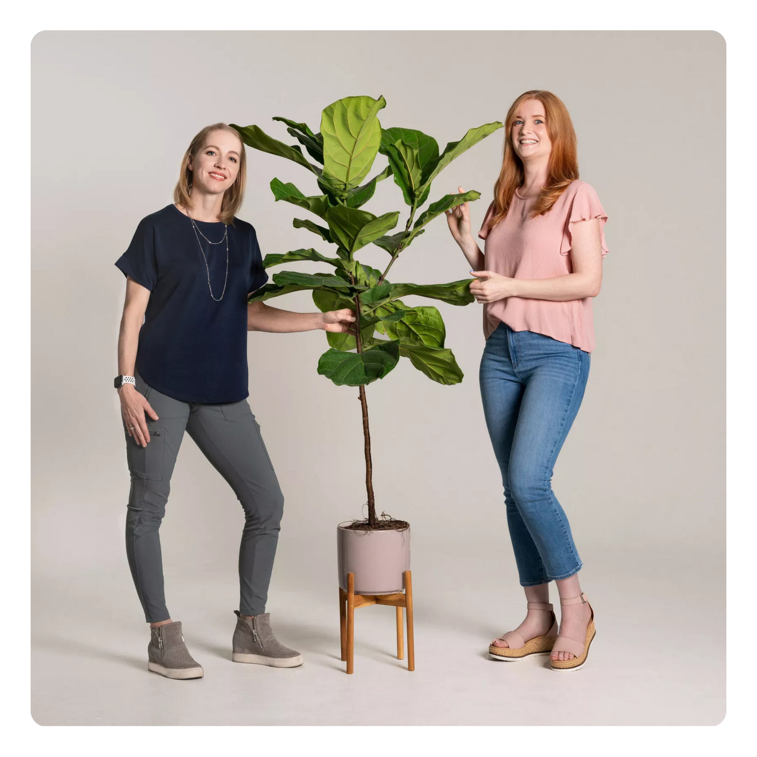 Plant, Potted Plant, Pants, Jeans, Sandal, Person, Adult, Female, Woman, Planter