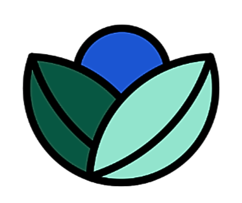 Sphere, Food, Fruit, Plant, Produce, Berry, Blueberry, Clothing, Hardhat, Helmet