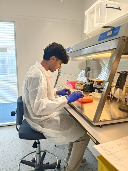 Clothing, Glove, Adult, Male, Man, Person, Laboratory, Head