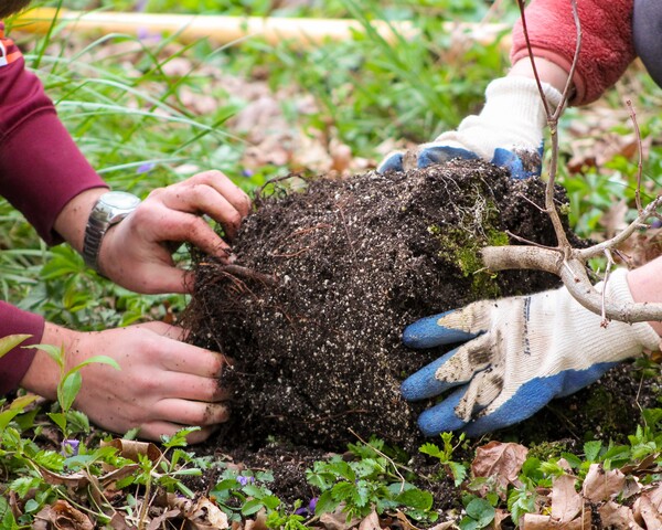 Two sets of hands on a pile of dirt