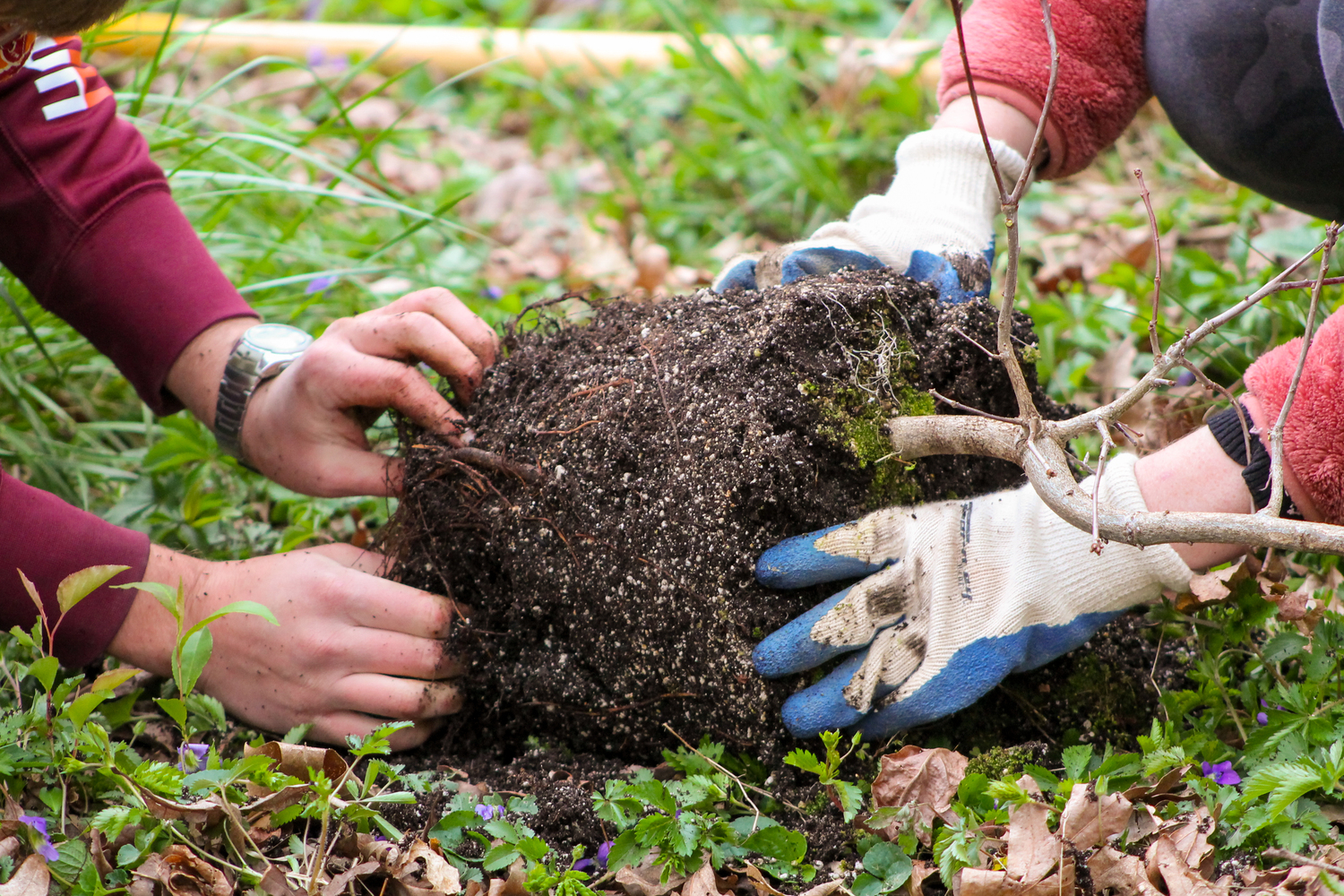 Two sets of hands on a pile of dirt