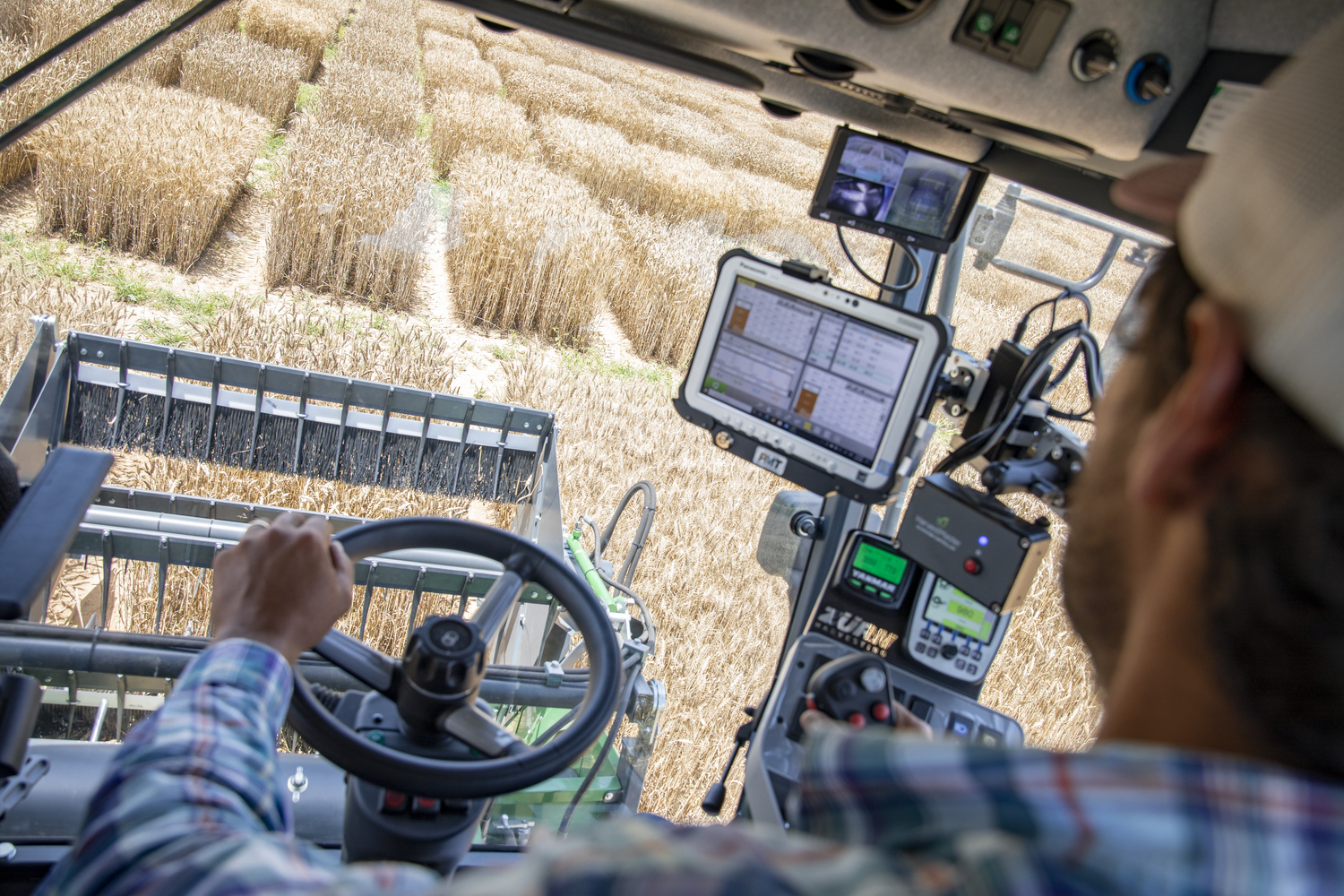 Man operates a tractor at an indoor wheat farm.