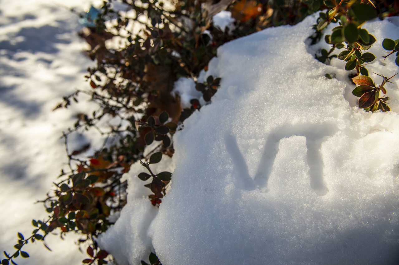 VT logo drawn in the snow