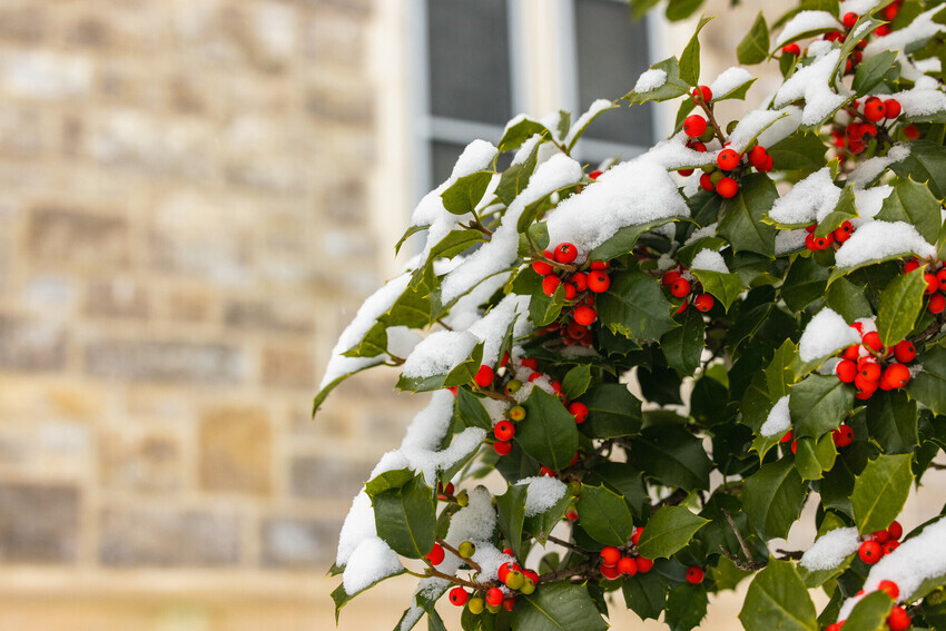 VT logo drawn in the snow