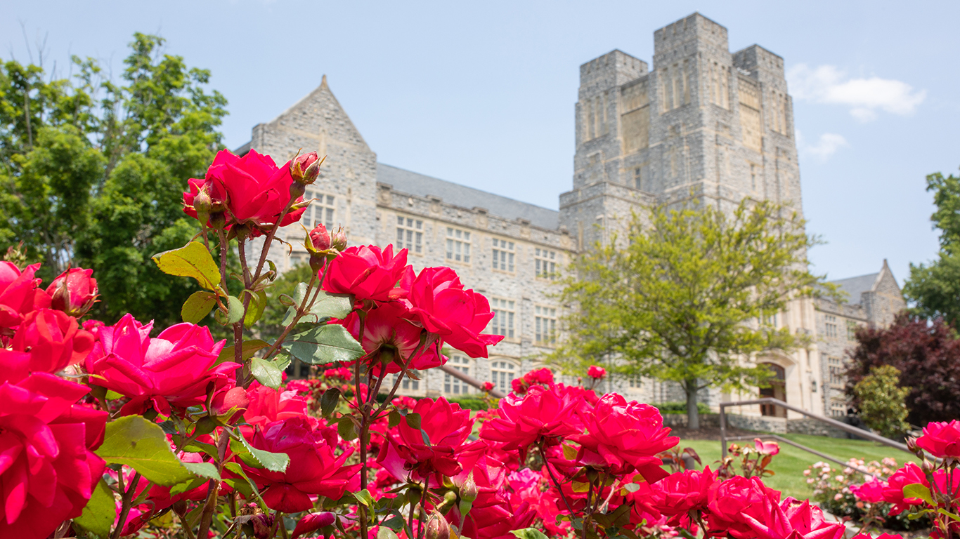 Flower, Geranium, Plant, Petal, Architecture, Building, Castle, Fortress, Rose