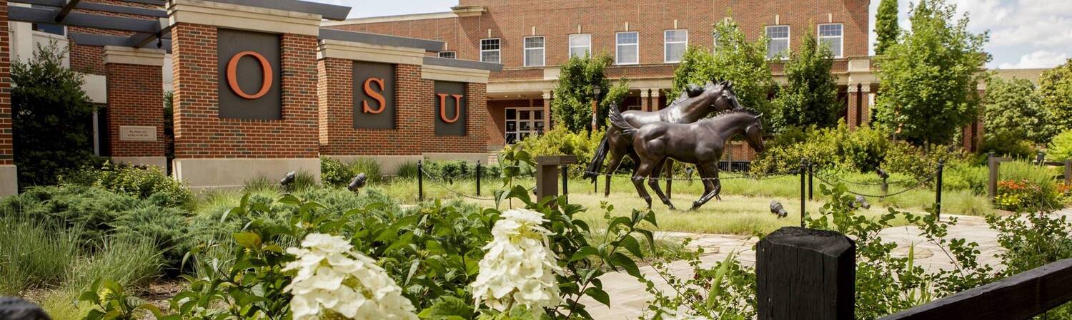 Grass, Neighborhood, Vegetation, Zoo, Tree, Outdoors, Nature, Yard, City, Horse