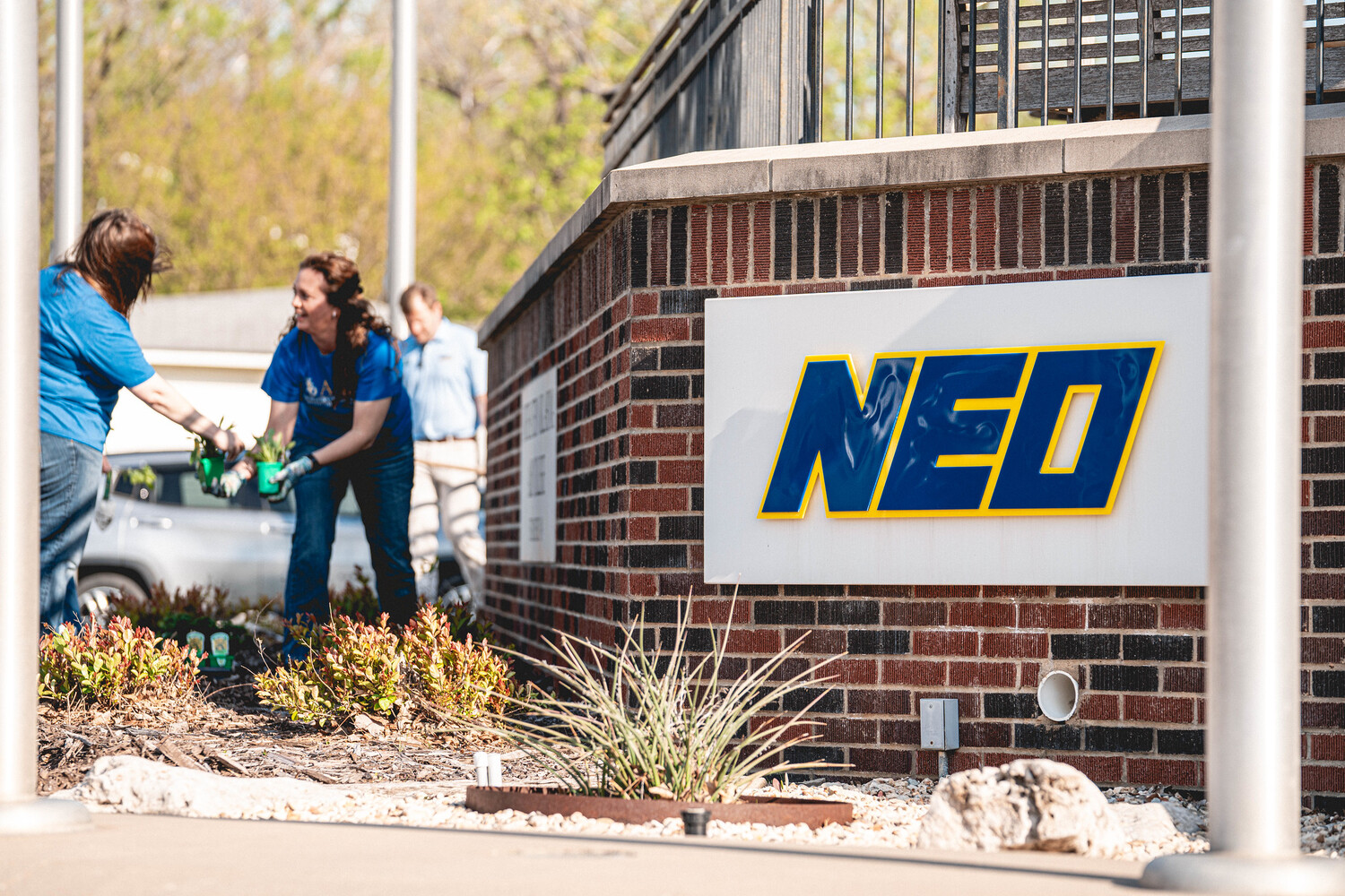 Person, Adult, Female, Woman, Garden, Gardening, Outdoors, Glove, Plant, Pants