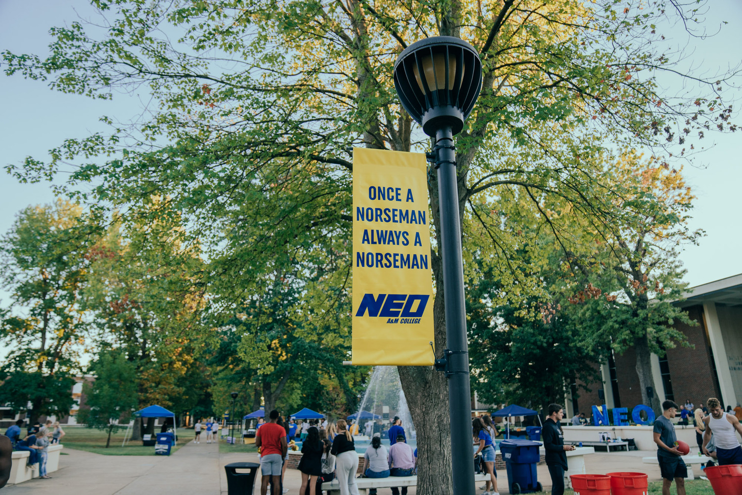 Person, Tree, City, Basketball (Ball), Handbag, Path, Summer, Shoe, Urban, Water