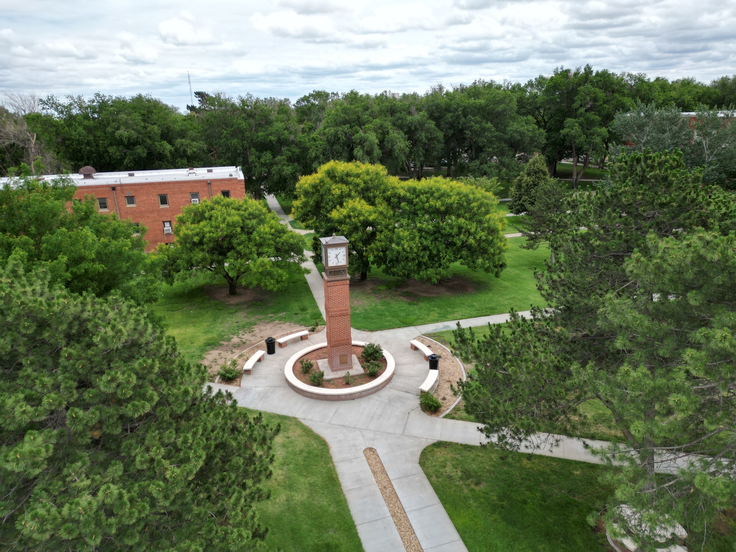 City, Grass, Outdoors, Park, Vegetation, Building, Campus, Urban, Tree, Walkway