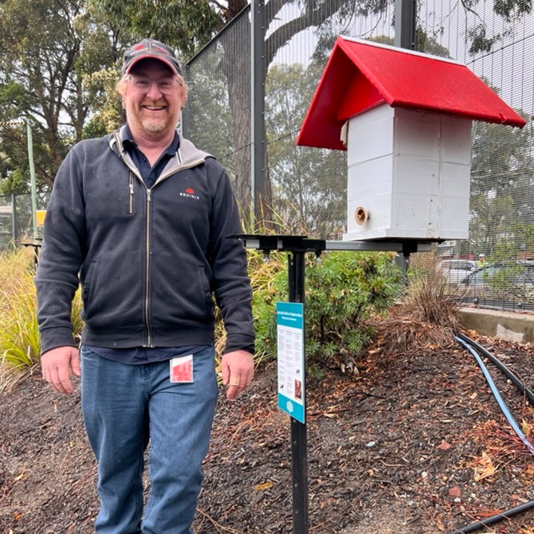 Adult, Male, Man, Person, Jeans, Pants, Coat, Jacket, Mailbox, Face
