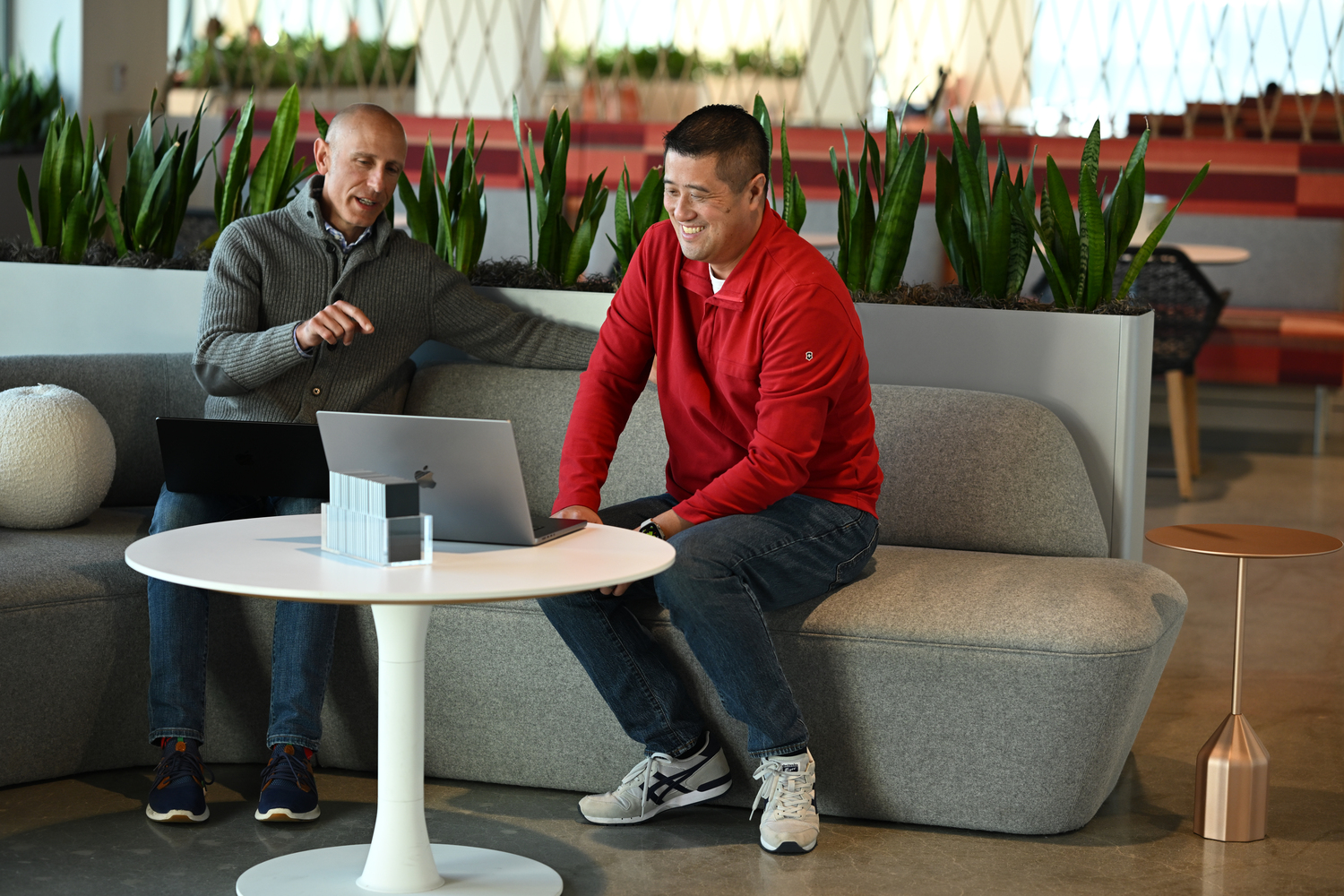 Adult, Male, Man, Person, Laptop, Couch, Furniture, Plant, Sitting, Desk