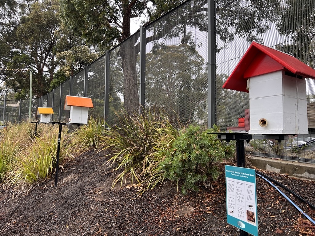 Beehives pictured at Equinix Australia Sites
