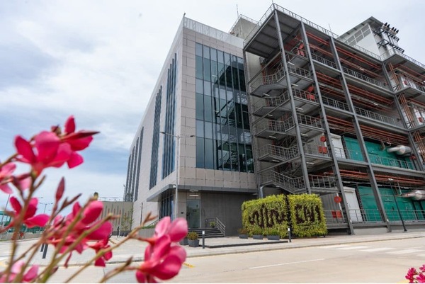 Architecture, Building, Office Building, Plant, City, Condo, Housing, Urban, Building Complex