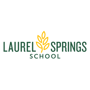 LSS-Logo-Color-300x300_(1).png