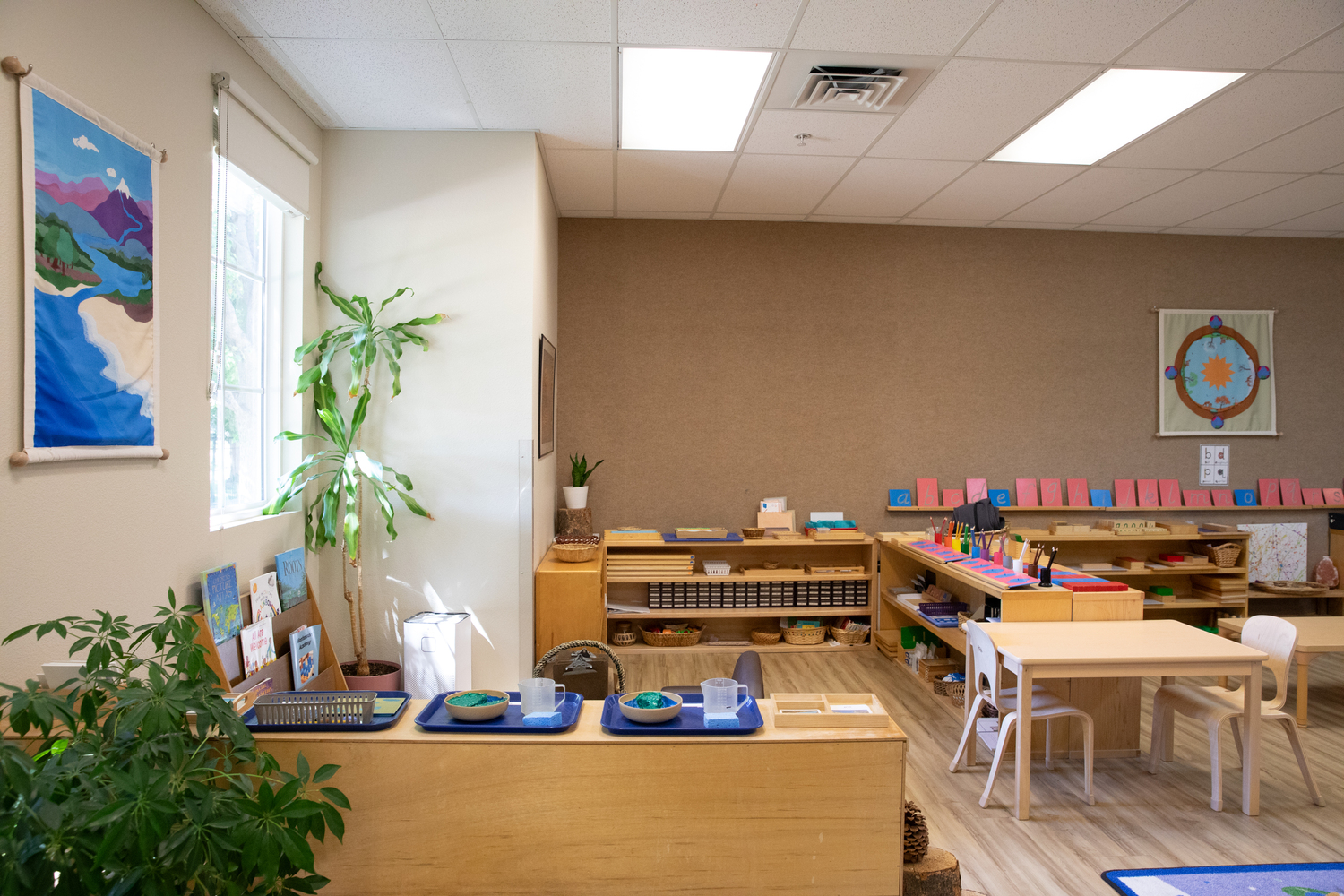 Wood, Floor, Flooring, Hardwood, Plywood, Plant, Interior Design, School, Classroom, Chair