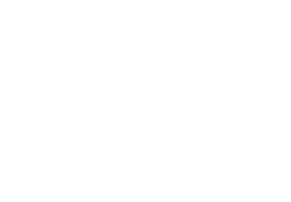 Spring Education Group Logo