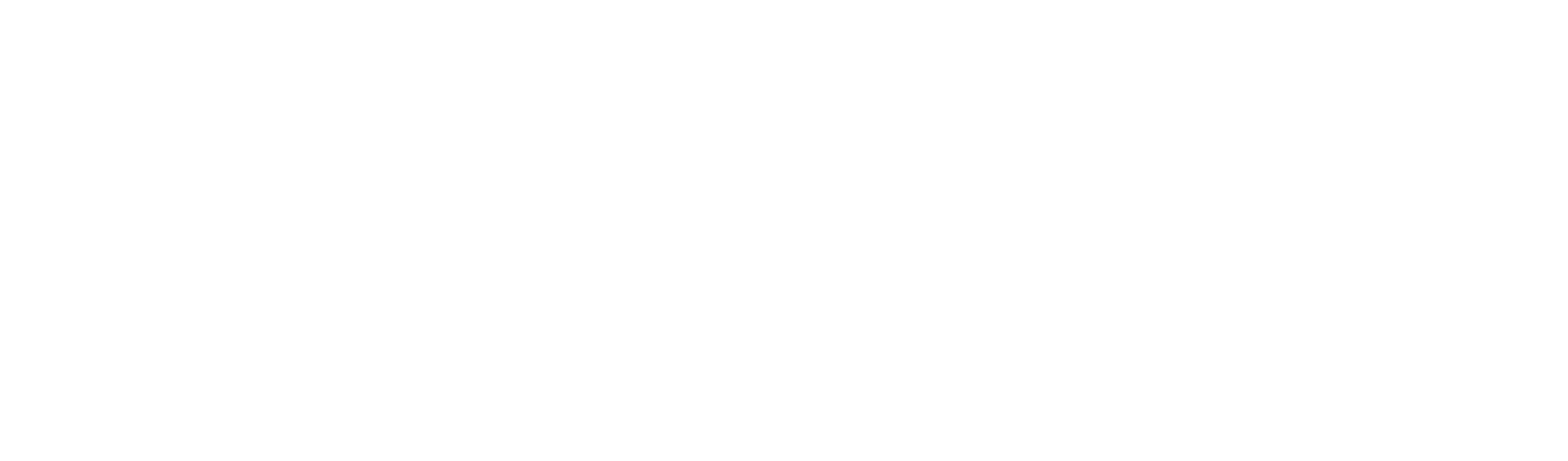 Basis Independent Schools Logo