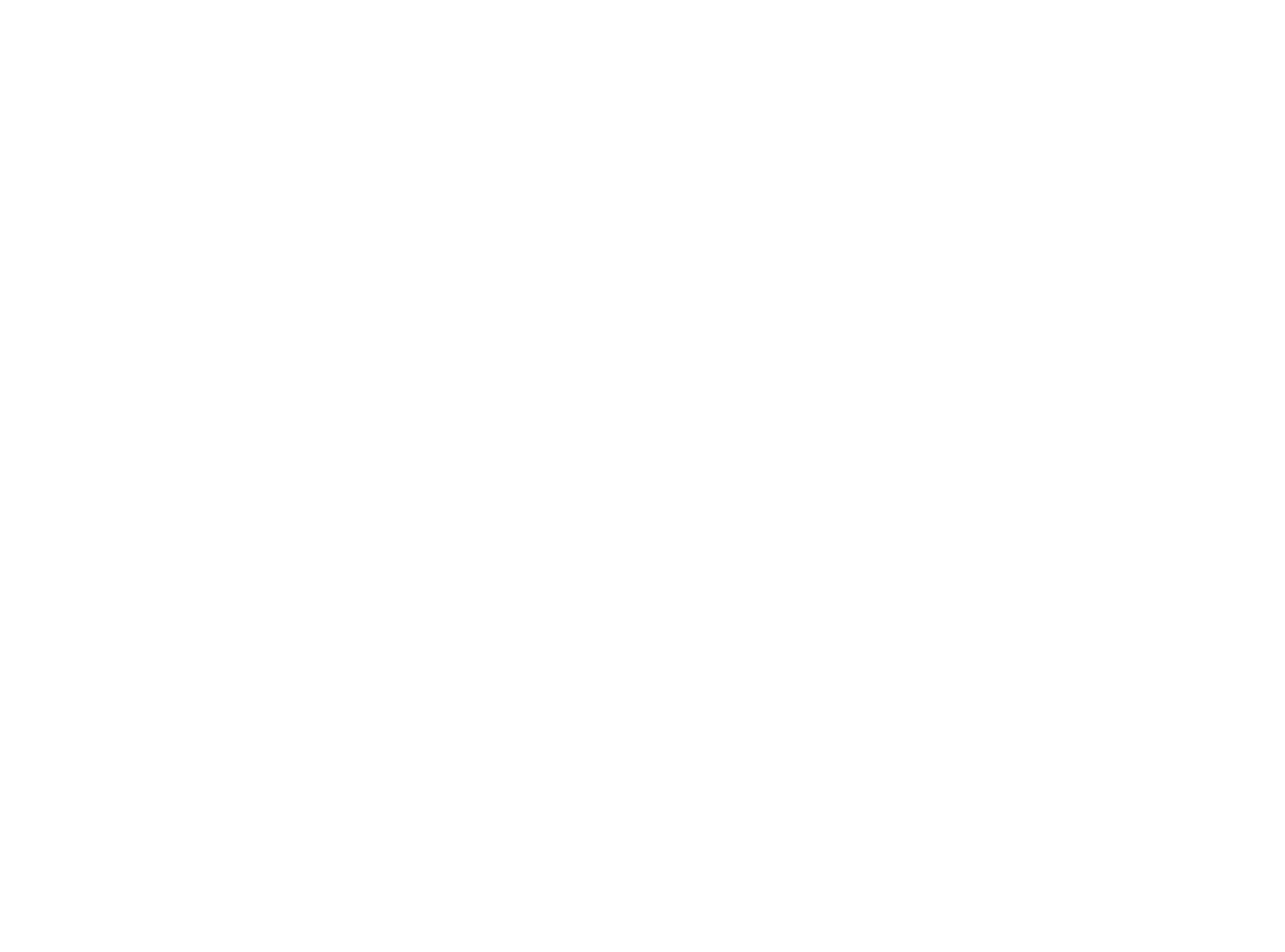 Discovery Isle Logo