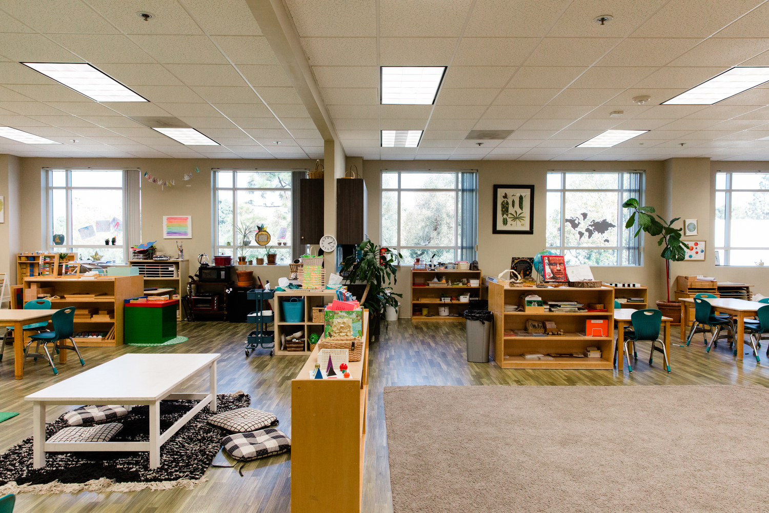 School, Rug, Classroom, Indoors, Painting, Table, Chair, Plant, Box, Person