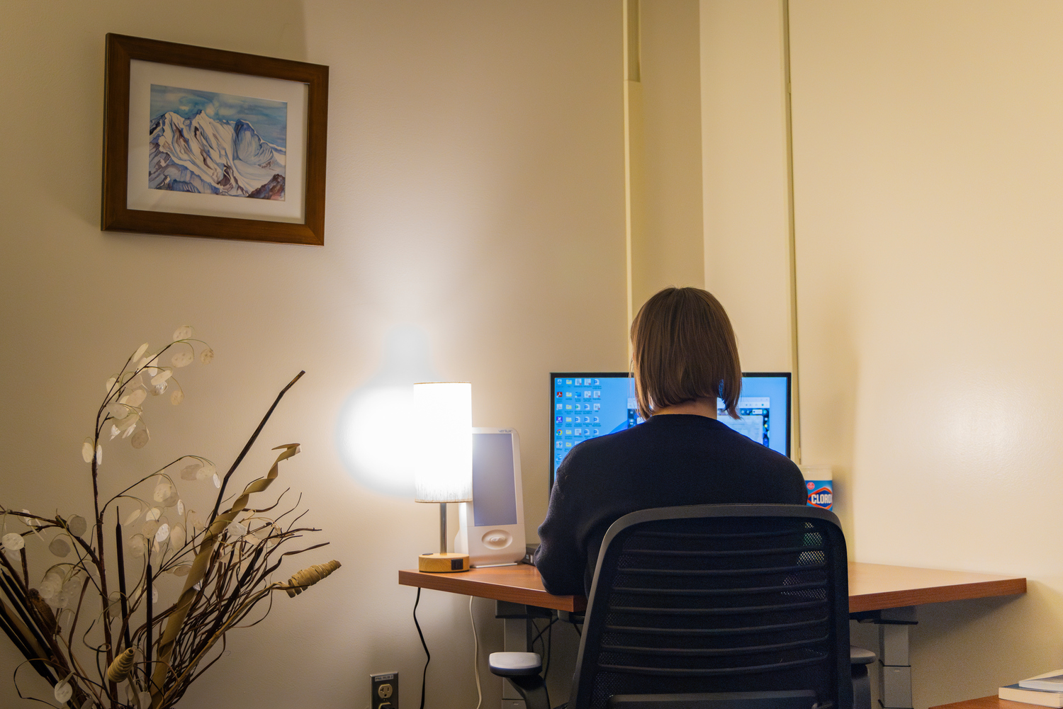 Table, Flower Arrangement, Screen, Computer Hardware, Monitor, Desk, Laptop, Pc, Person, Chair