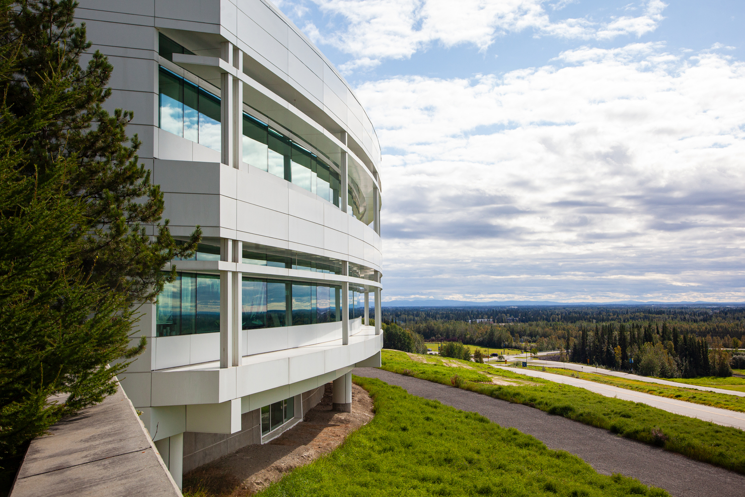 Building, Office Building, Grass, Tree, Campus, City, Fir, Conifer, Urban, Interior Design