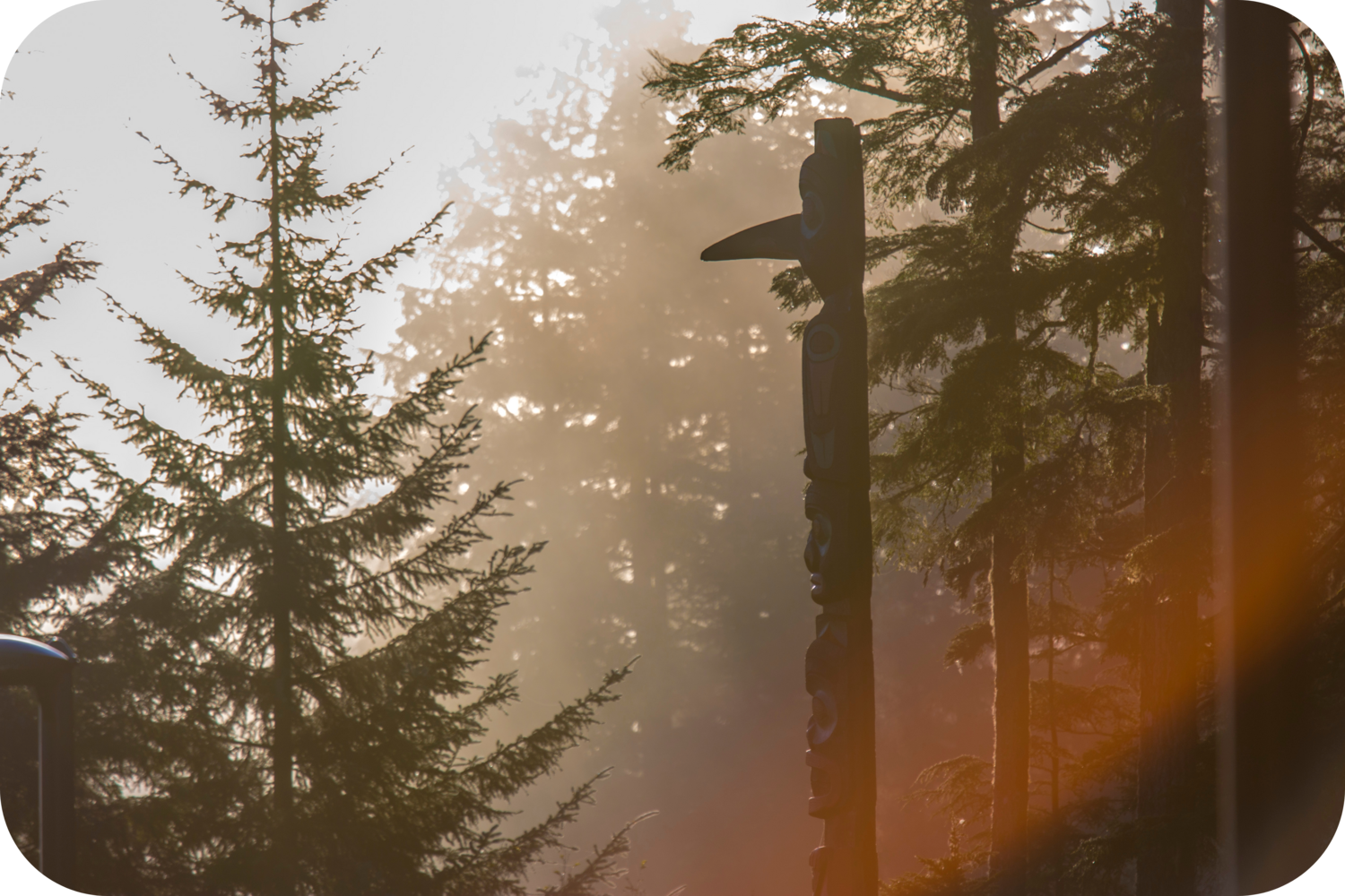 Totem pole located in forest at the University of Alaska Southeast.