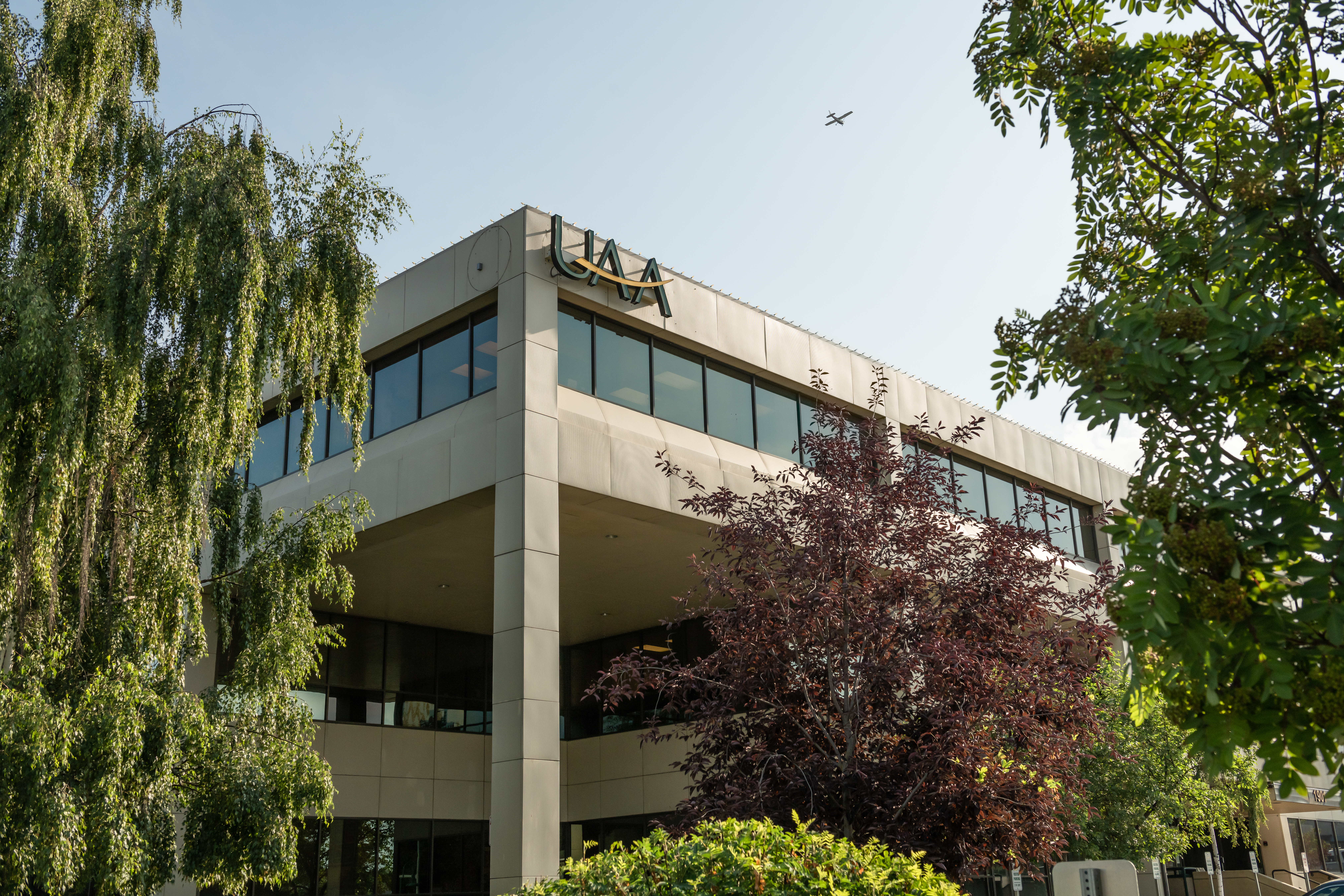 Building, Office Building, Plant, Tree, City, Vegetation, Urban, Car, Housing, Outdoors