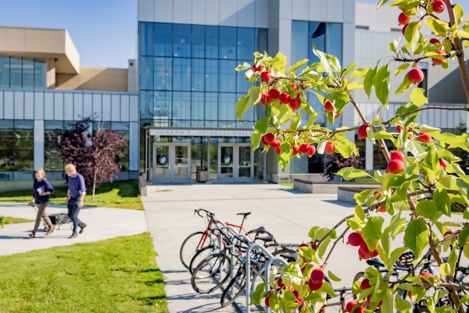 Person, Shoe, Campus, Bicycle, Vehicle, Fruit, Belt, Handbag, High Heel, Wheel