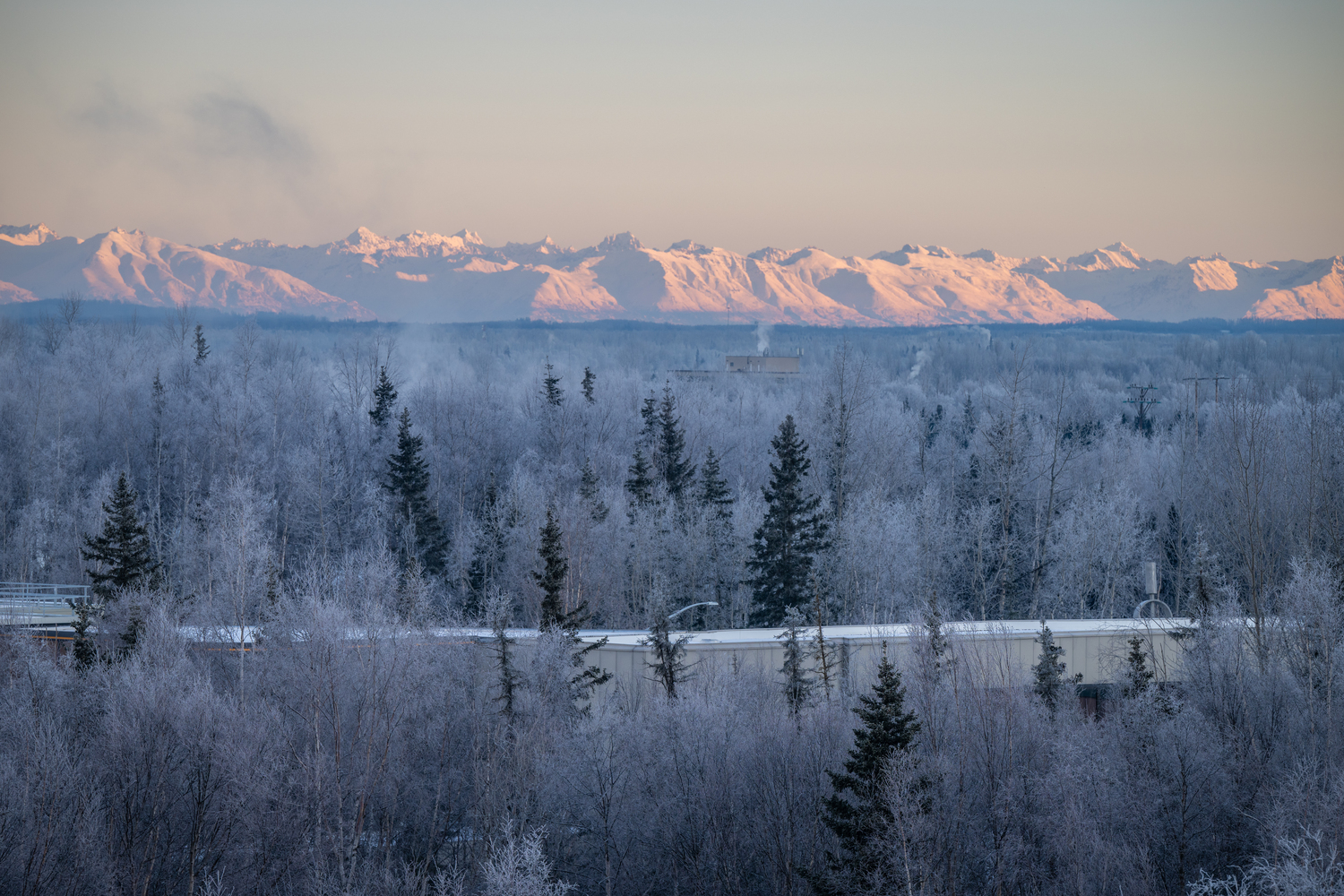 Tree, Fir, Ice, Nature, Outdoors, Weather, Scenery, Frost, Snow, Mountain Range