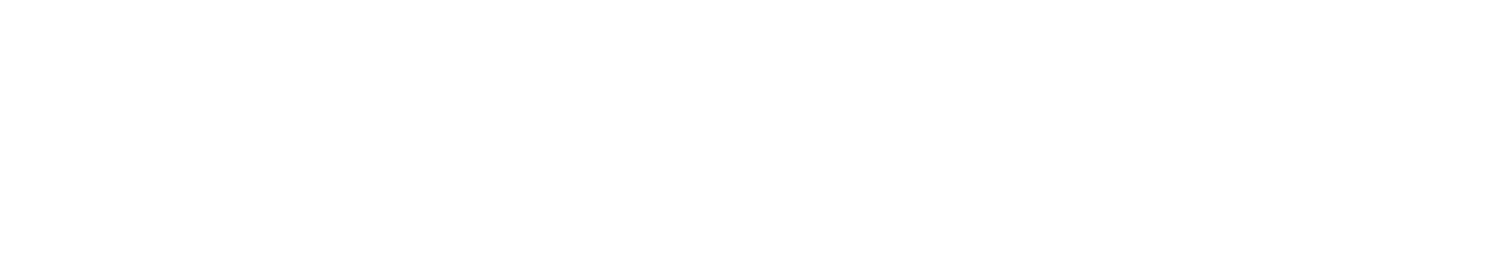 Main Logo