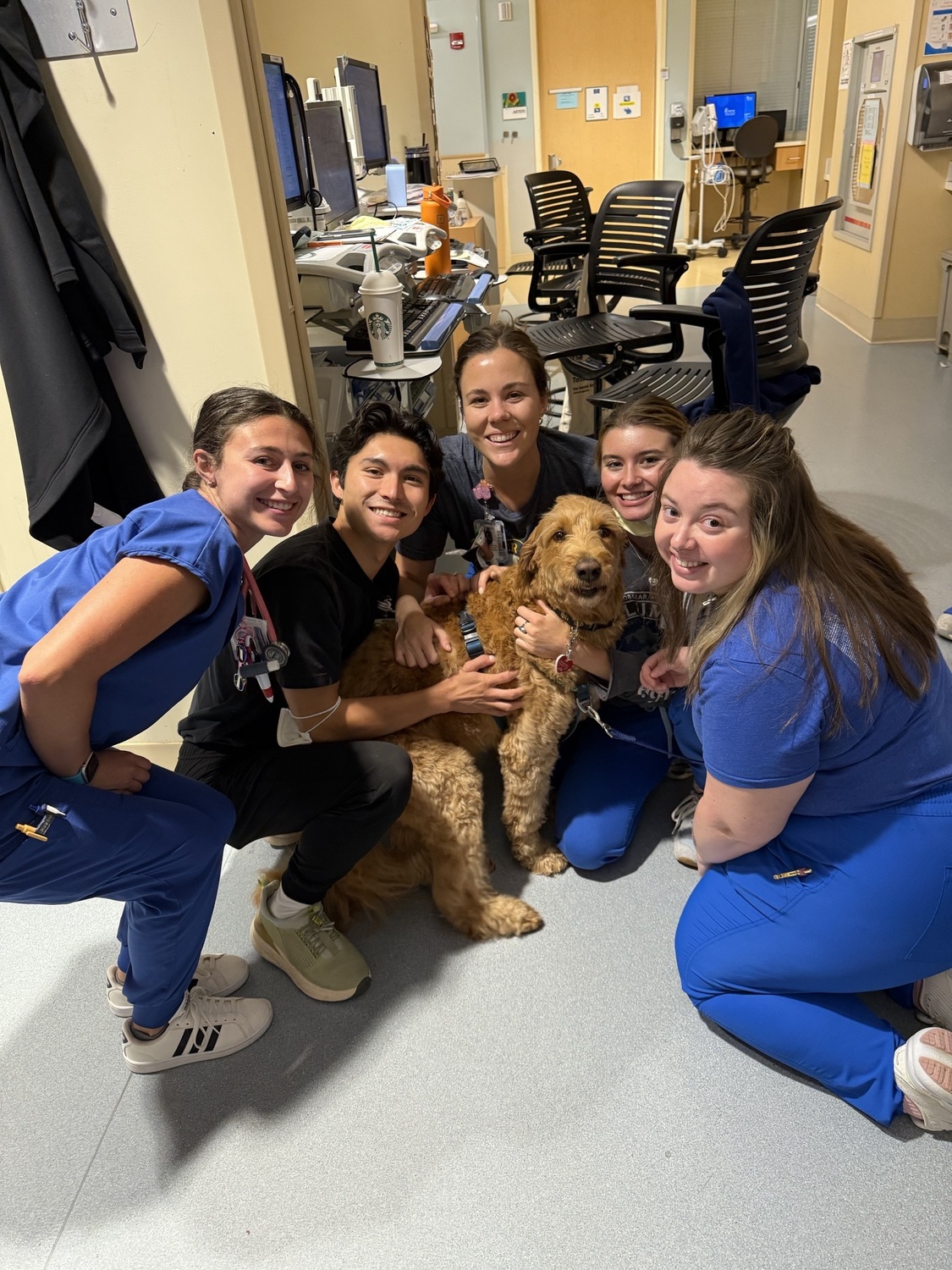 Adult, Female, Person, Woman, Shoe, Hospital, Chair, Portrait, Dog, Monitor