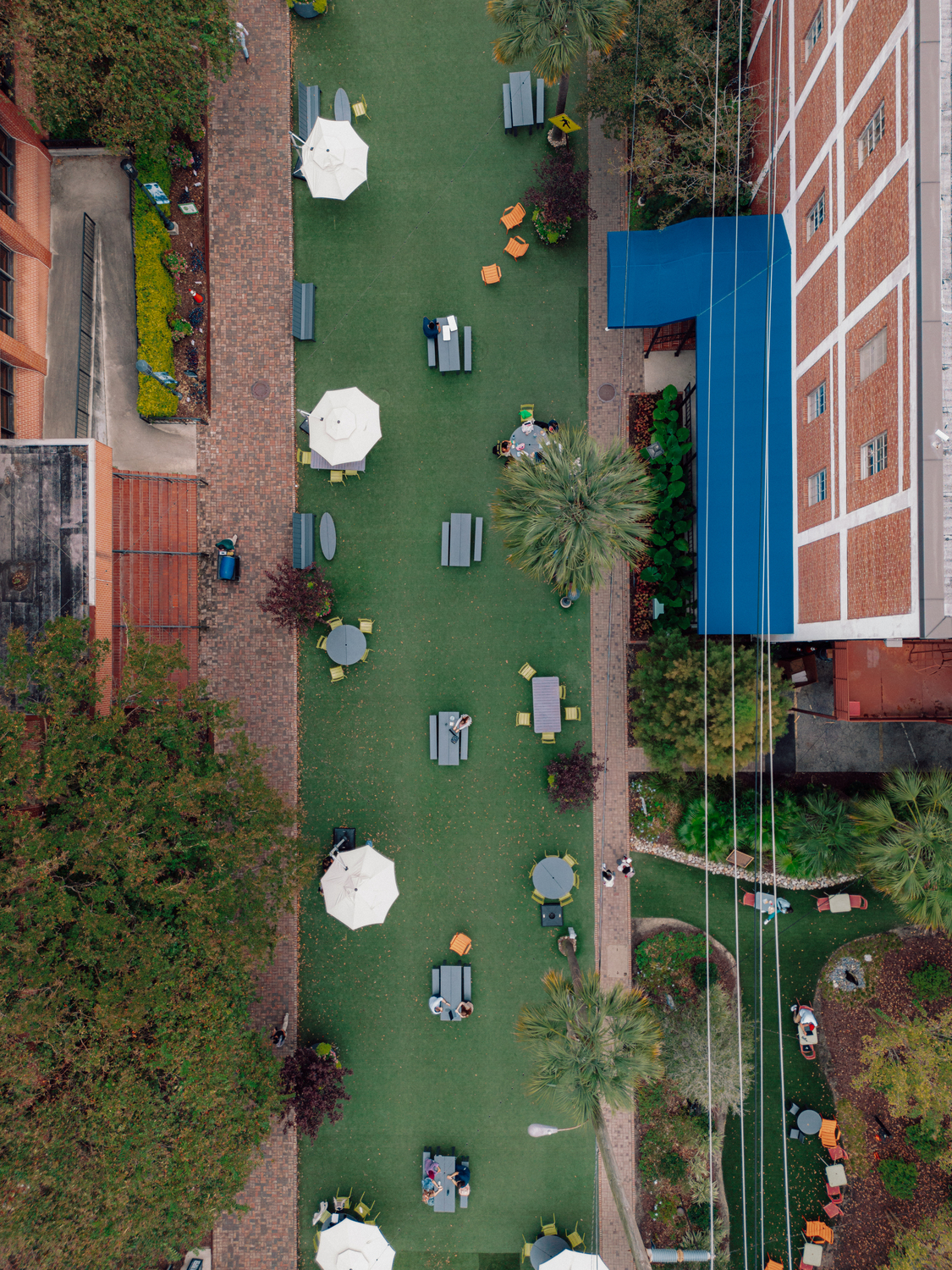 Care team members clap and smile looking up at the new MUSC sign