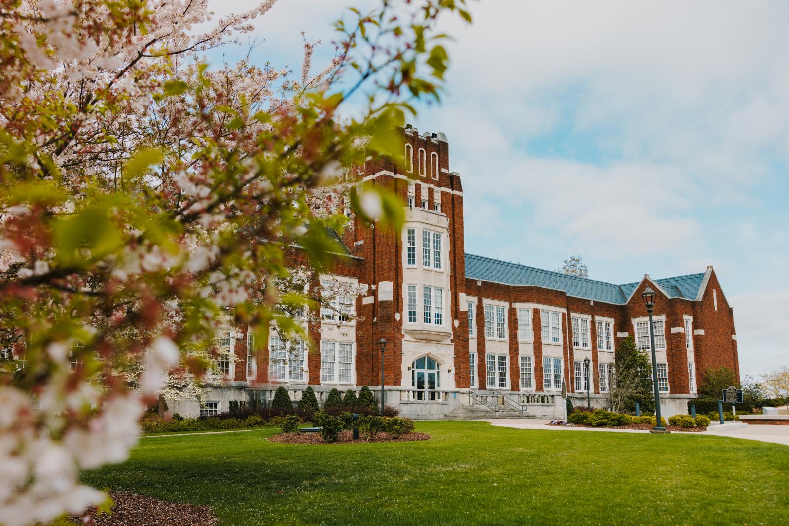 Architecture, Building, Housing, House, Manor, College, Grass, Plant