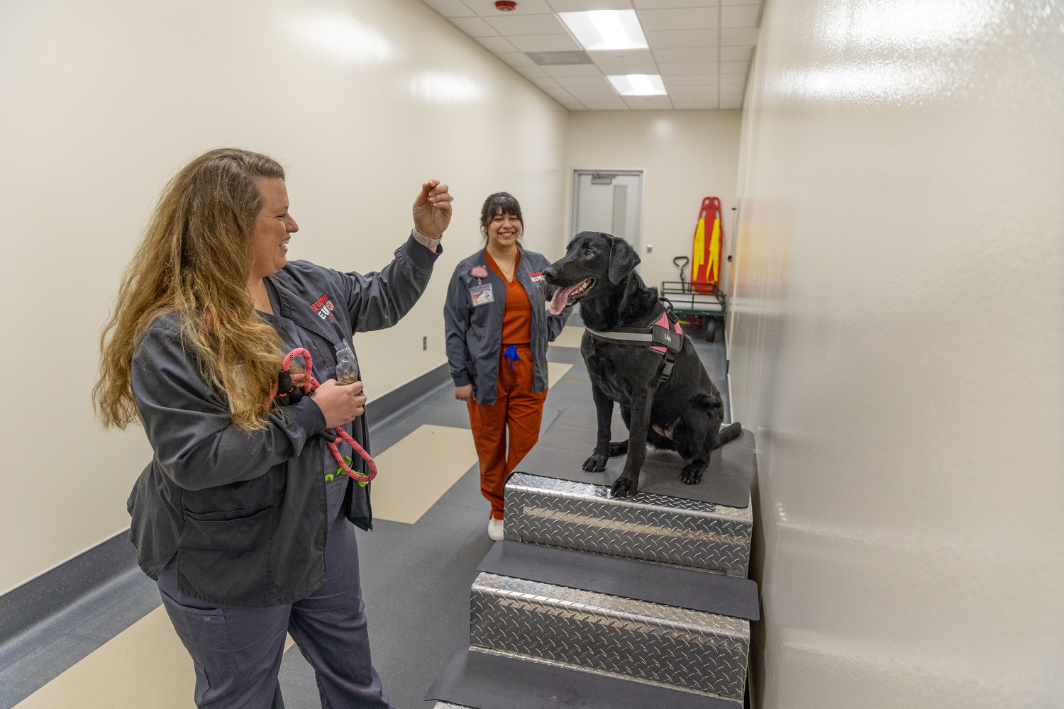 Staircase, Adult, Female, Person, Woman, Dog, Coat, Shoe, Doctor, Face