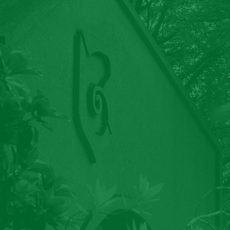 Symbol, Text, Plant, Outdoors