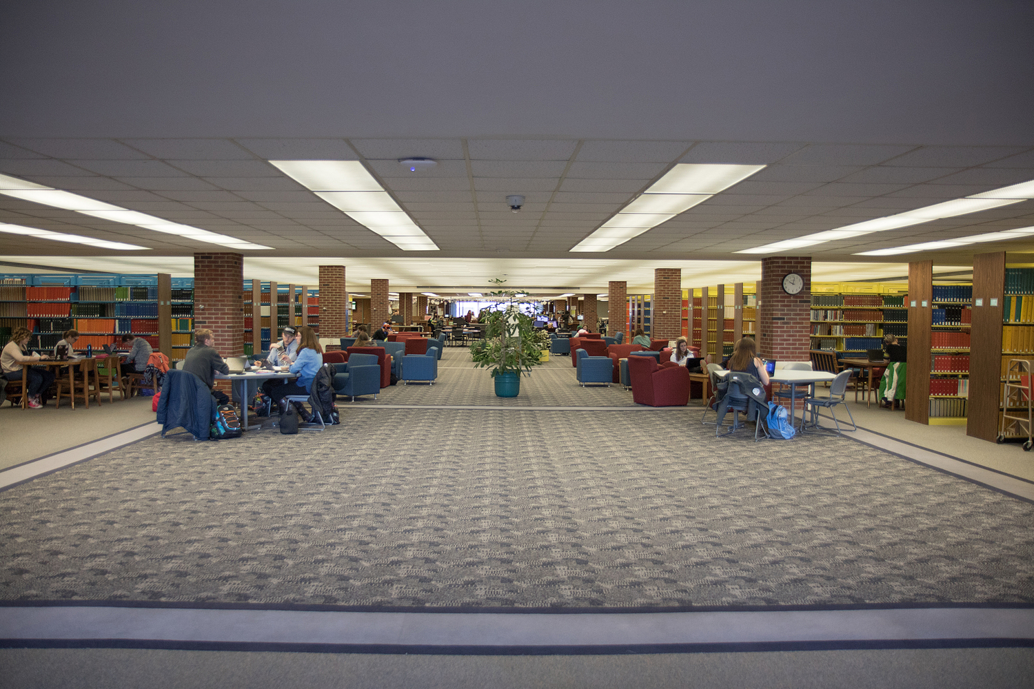 Book, Indoors, Library, Publication, Floor, Flooring, Handbag, Person, Chair, Plant