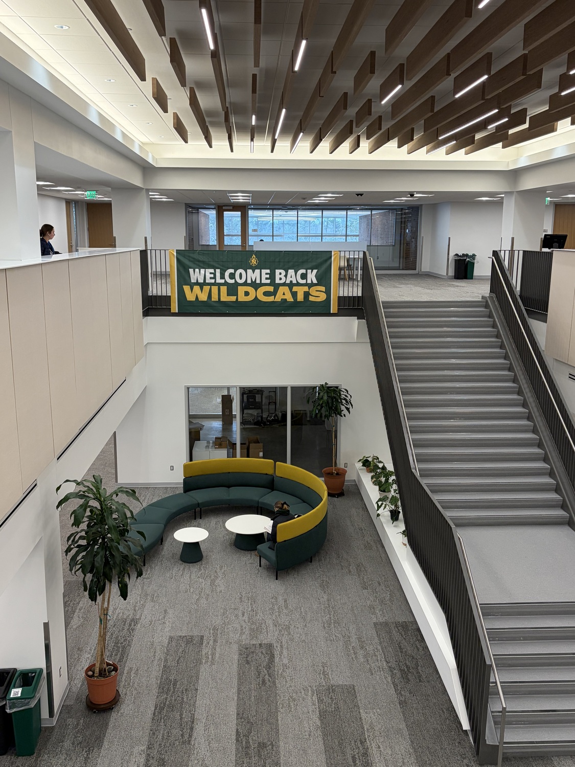 Plant, Housing, Staircase, Indoors, Person, Foyer, Desk, Furniture, Monitor, Couch