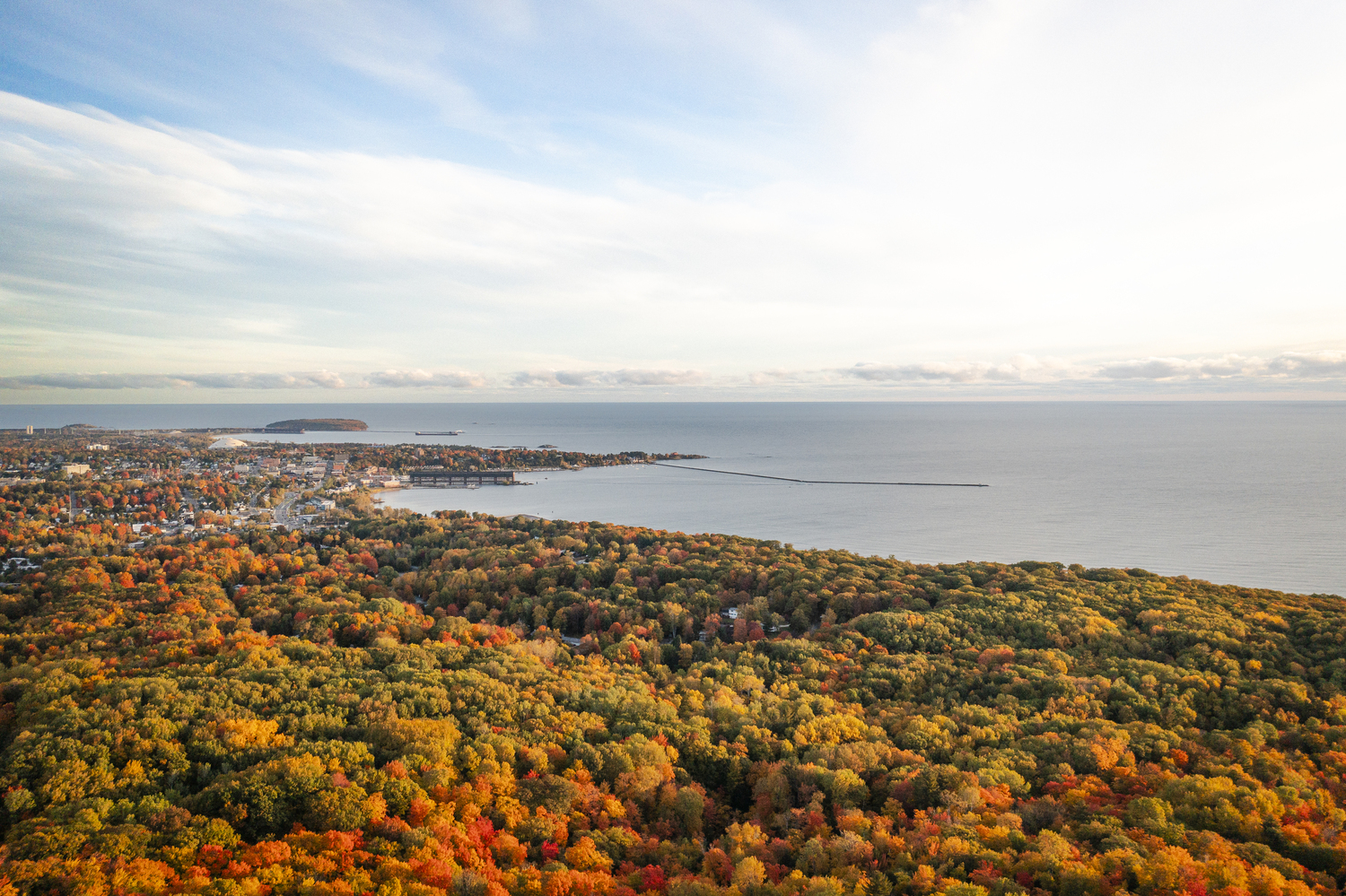 Land, Nature, Outdoors, Sea, Water, Scenery, Vegetation, Tree, Woodland, Landscape
