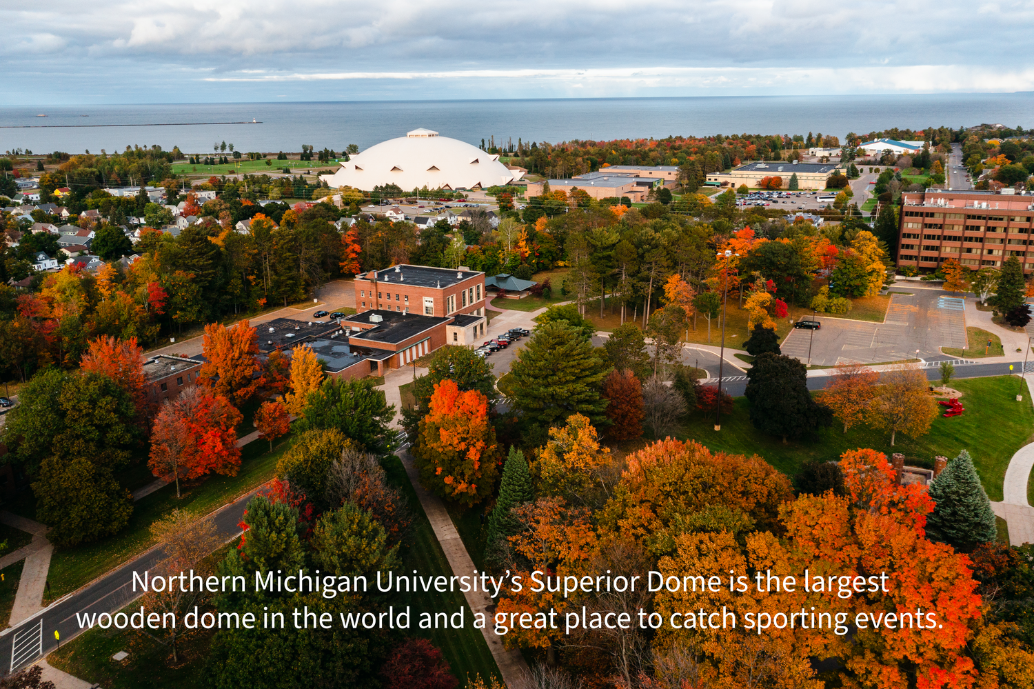 Tree, Neighborhood, Building, Campus, Outdoors, Fir, Vegetation, Grass, City, Scenery